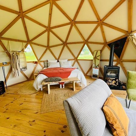 Dome Insolite Cedre Jacuzzi Et Petits Dejeuners Inclus Lagraulet-du-Gers المظهر الخارجي الصورة