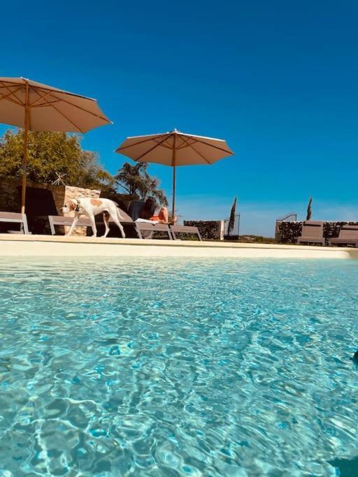 Dome Insolite Cedre Jacuzzi Et Petits Dejeuners Inclus Lagraulet-du-Gers المظهر الخارجي الصورة