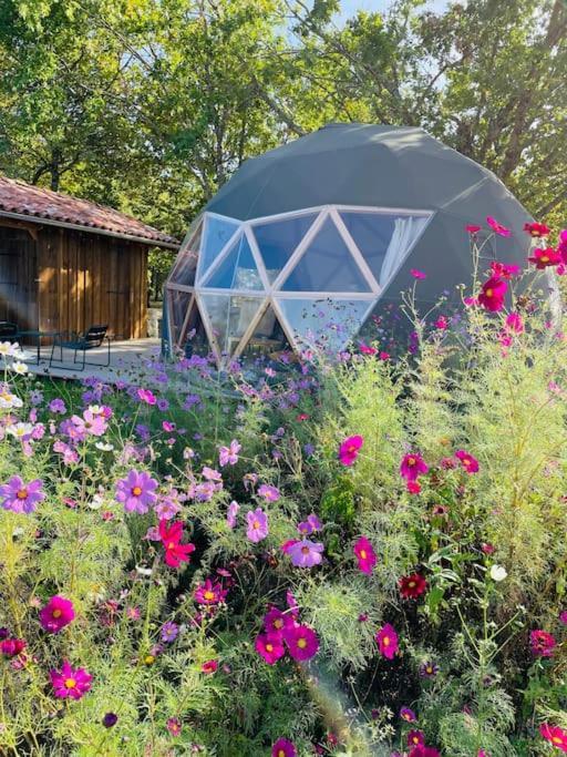 Dome Insolite Cedre Jacuzzi Et Petits Dejeuners Inclus Lagraulet-du-Gers المظهر الخارجي الصورة
