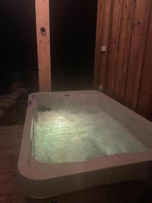Dome Insolite Cedre Jacuzzi Et Petits Dejeuners Inclus Lagraulet-du-Gers المظهر الخارجي الصورة